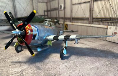 01 Trumpeter P47d - Professional trumpeter_p47d photography by Paul Caldwell