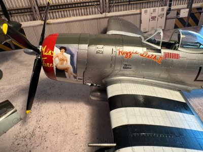 02 Trumpeter P47d - Professional trumpeter_p47d photography by Paul Caldwell