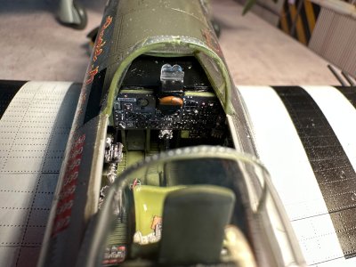 04 Trumpeter P47d - Professional trumpeter_p47d photography by Paul Caldwell