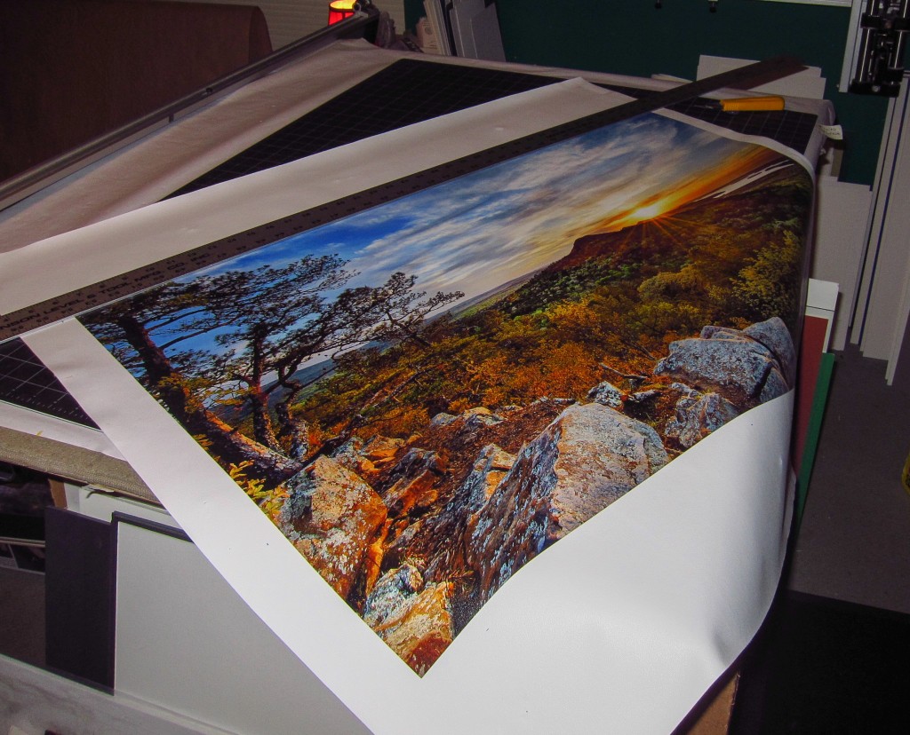 800M canvas print from Epson 9900 and Matte Ink with Breathing Color Profile