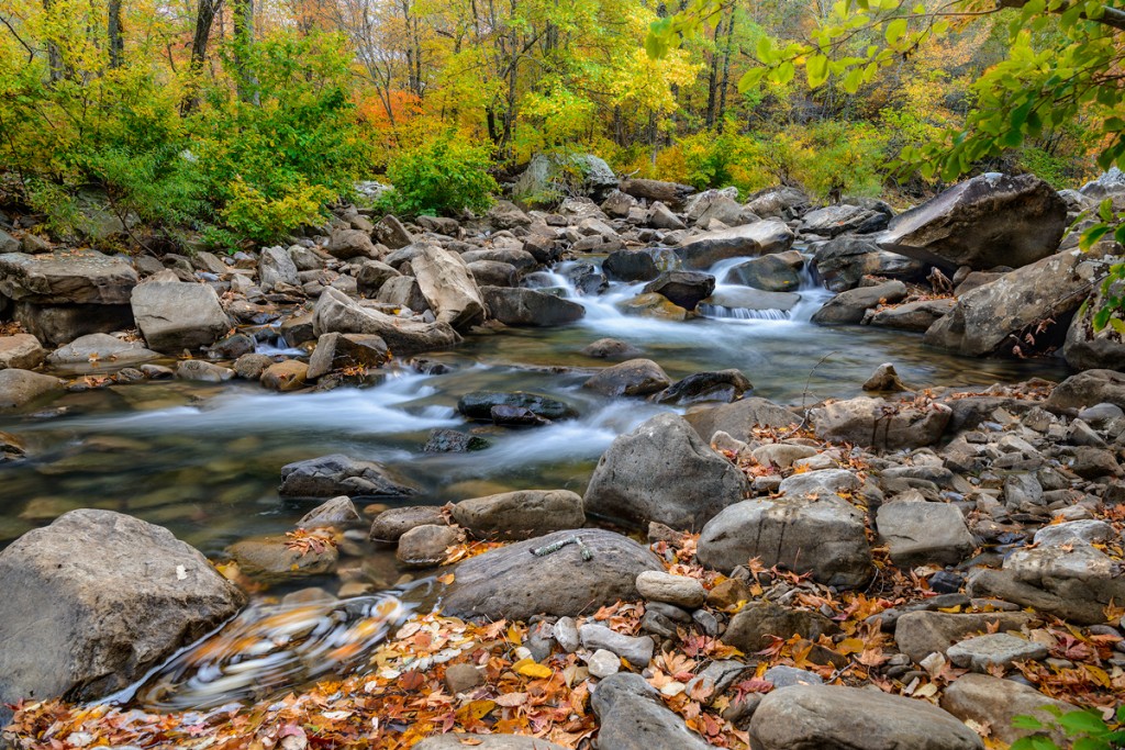 11/10/15 Springtime at Haw Creek Falls–A great place to spend a day in ...