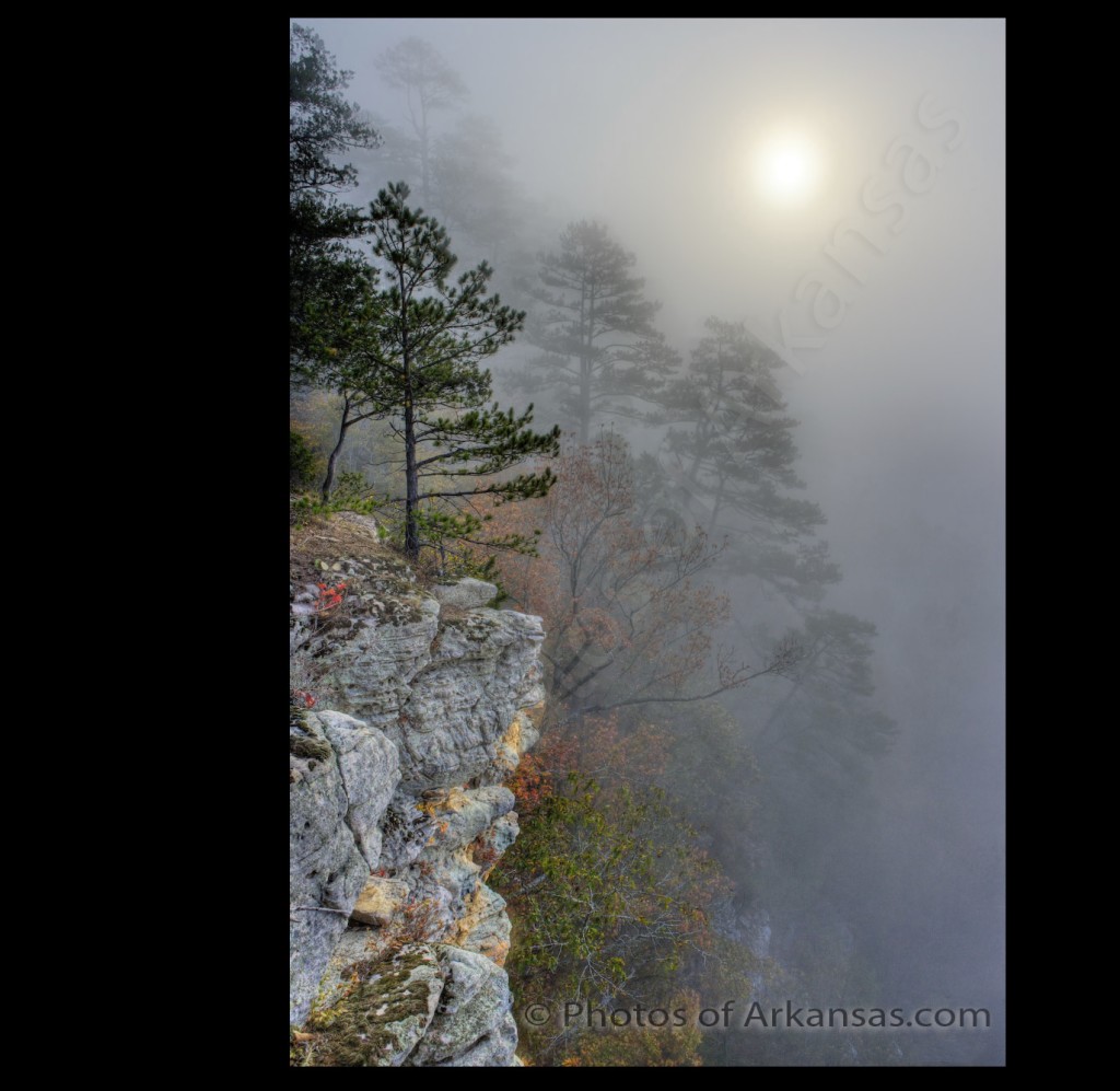 New version of Foggy Morning View with Copyrighting 